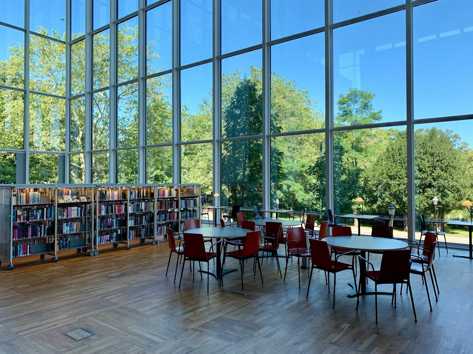 A bright library study area with tall windows, bookshelves, tables and chairs